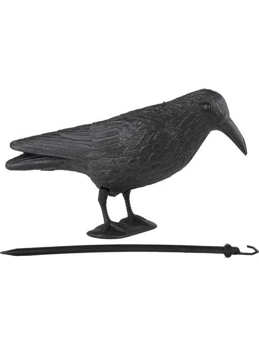 Dekofigur "Rabe" In Schwarz - (B)38 X (H)13 X (T)11 Cm
