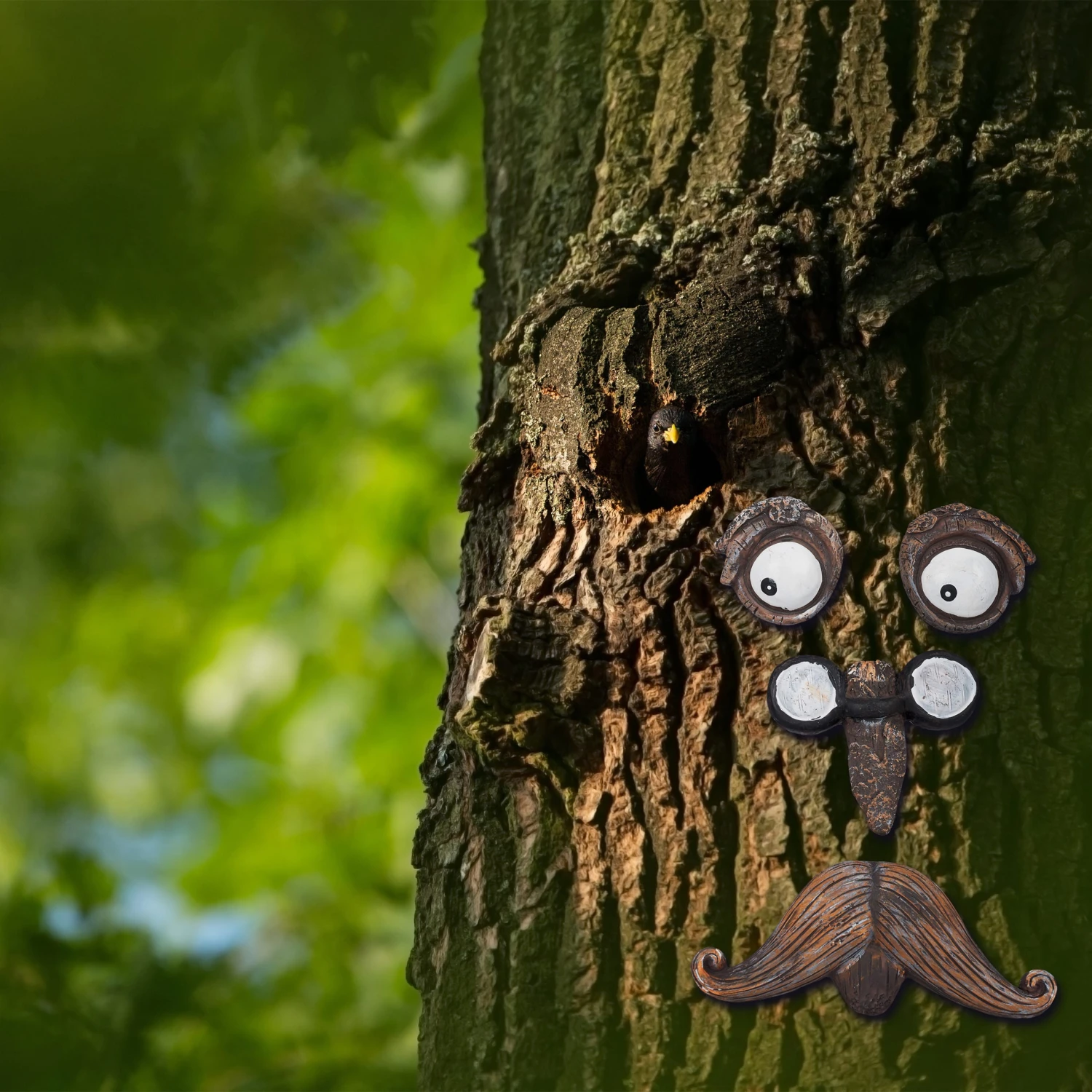 Baumgesicht Alter Mann In Braun/Weiß - Image 2