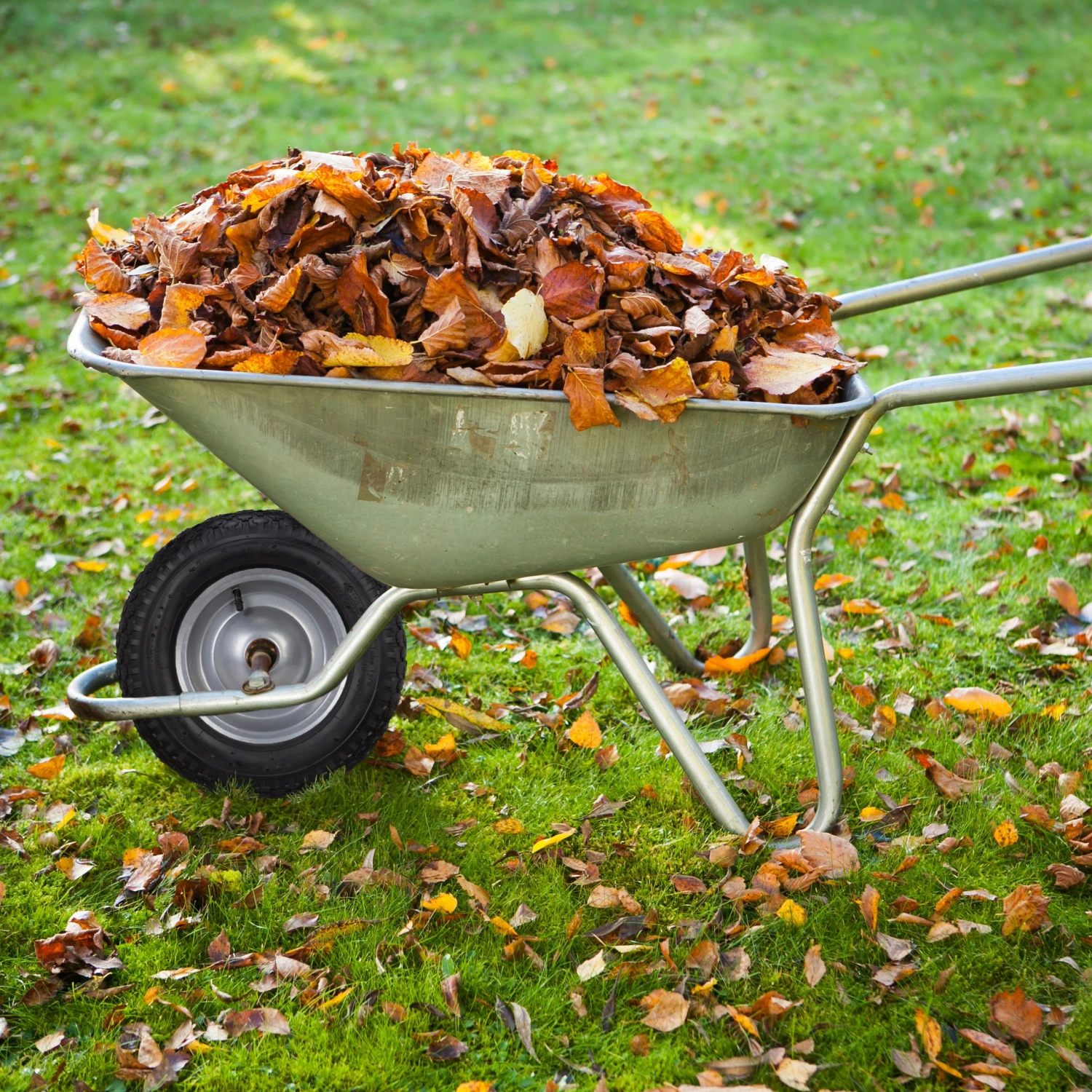 Schubkarrenrad 2er Set In Schwarz - Image 2