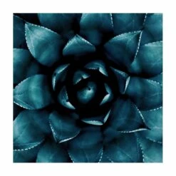 Vinyl-Teppich - Sukkulente Petrol II In Petrol
